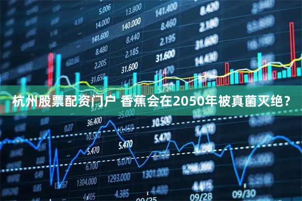 杭州股票配资门户 香蕉会在2050年被真菌灭绝？