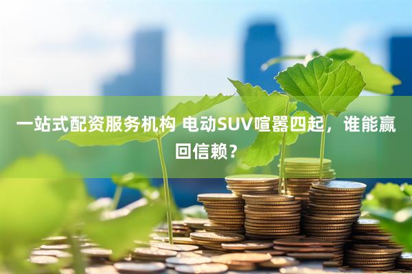 一站式配资服务机构 电动SUV喧嚣四起，谁能赢回信赖？