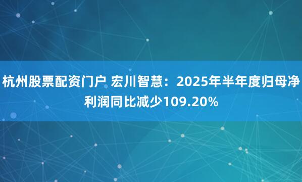 杭州股票配资门户 宏川智慧：2025年半年度归母净利润同比减少109.20%