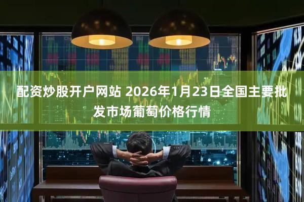 配资炒股开户网站 2026年1月23日全国主要批发市场葡萄价格行情