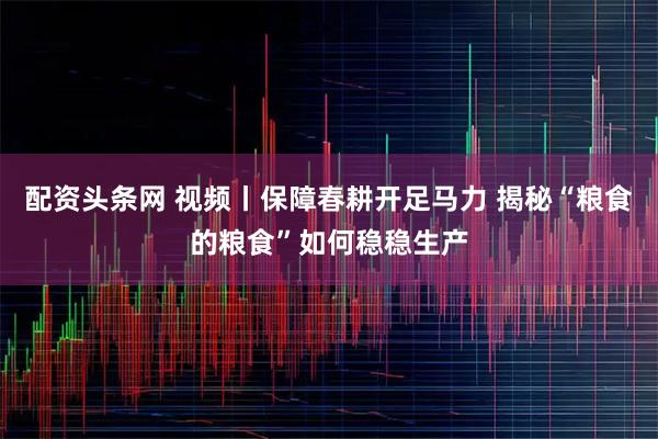 配资头条网 视频丨保障春耕开足马力 揭秘“粮食的粮食”如何稳稳生产