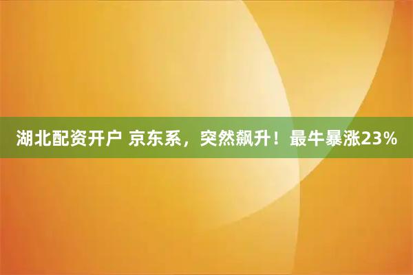 湖北配资开户 京东系，突然飙升！最牛暴涨23%
