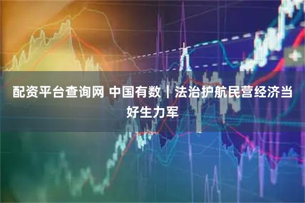 配资平台查询网 中国有数｜法治护航民营经济当好生力军