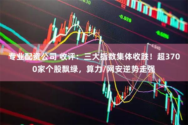 专业配资公司 收评：三大指数集体收跌！超3700家个股飘绿，算力/网安逆势走强